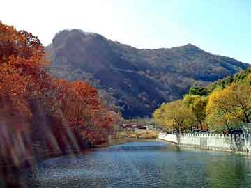 澳门二四六天天彩图库，朗逸论坛